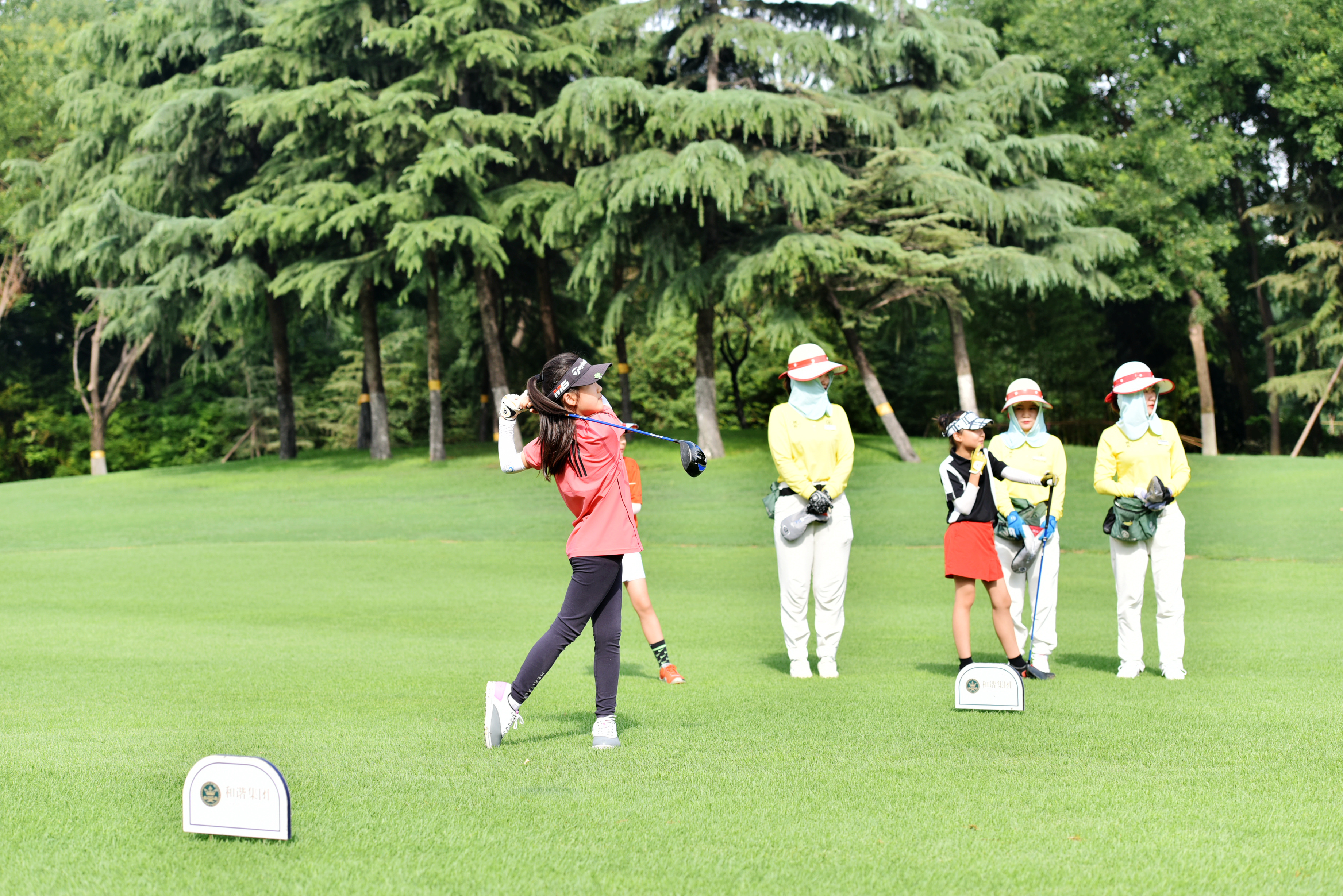 DSC_5731.jpg DSC_5731.jpg